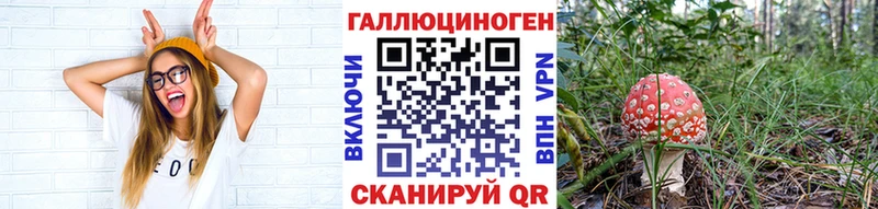 Галлюциногенные грибы Cubensis  закладки  Ельня 